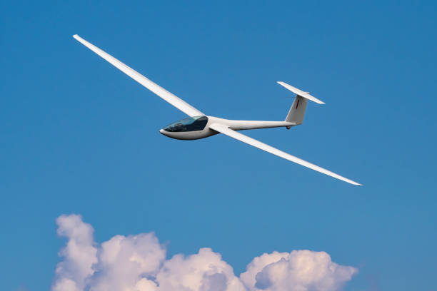 Piloto de Planeador